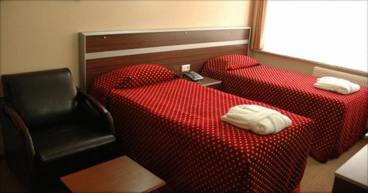 Grand Lion Hotel - Istanbul — Photos 1
